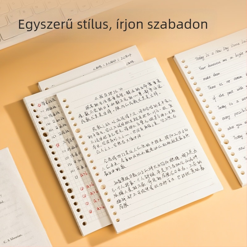 Deli Na550 Kicserélhető mag (loose-leaf) – 50 lap, fehér papír, lyukak 20/26/30, levehető