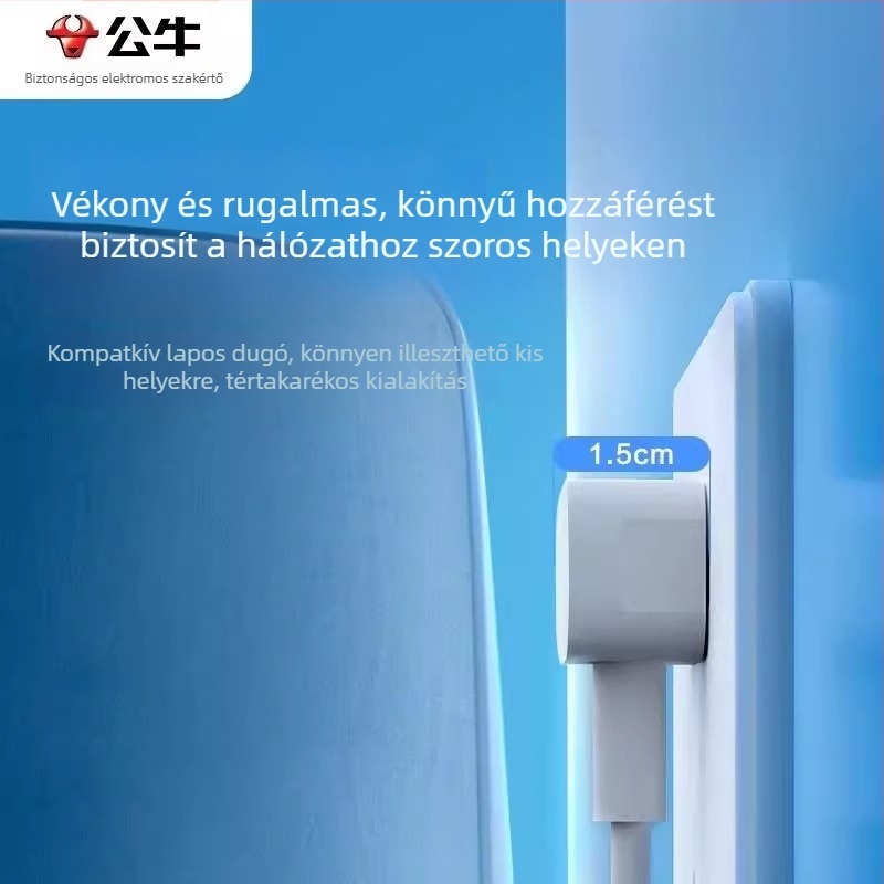 Bull hordozható hosszabbító egyetlen aljzattal, 10A, 2500W