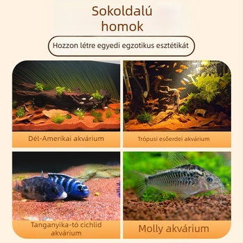 Akvaris homok a talajdíszítéshez – esőerdei stílusban
