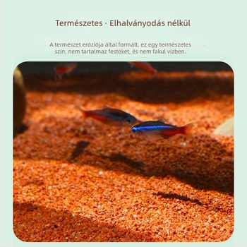 Akvaris homok a talajdíszítéshez – esőerdei stílusban