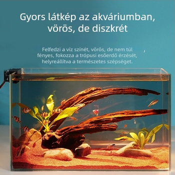 Akvaris homok a talajdíszítéshez – esőerdei stílusban