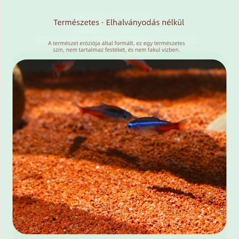 Akvaris homok a talajdíszítéshez – esőerdei stílusban