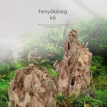Savított savanyított Zöld Sárkány kő és fenyőkéreg kő akváriumi díszítéshez, készlet különböző méretű töredezett kövekkel, szikla-kertek és vízinövények