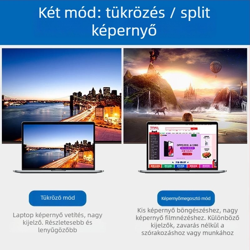 Type-C női HDMI/DP adapter – 8K felbontás, 1 m kábel, TY20HD12