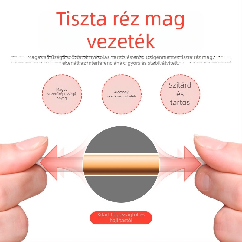 Log-periodikus antenna, 10 dBi nyereség, 698–4000 MHz, kültéri, ayissmoye XDS