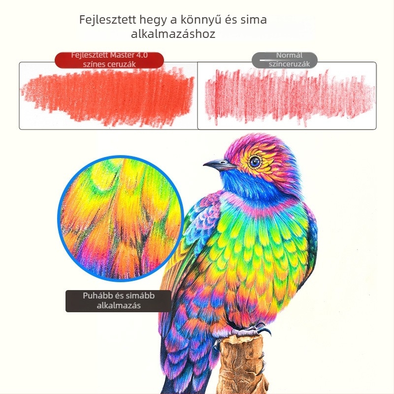 Marco Színes Ceruza Készlet — vízoldékony és olaj alapú, fa testtel, B keménység, írásra és színezésre