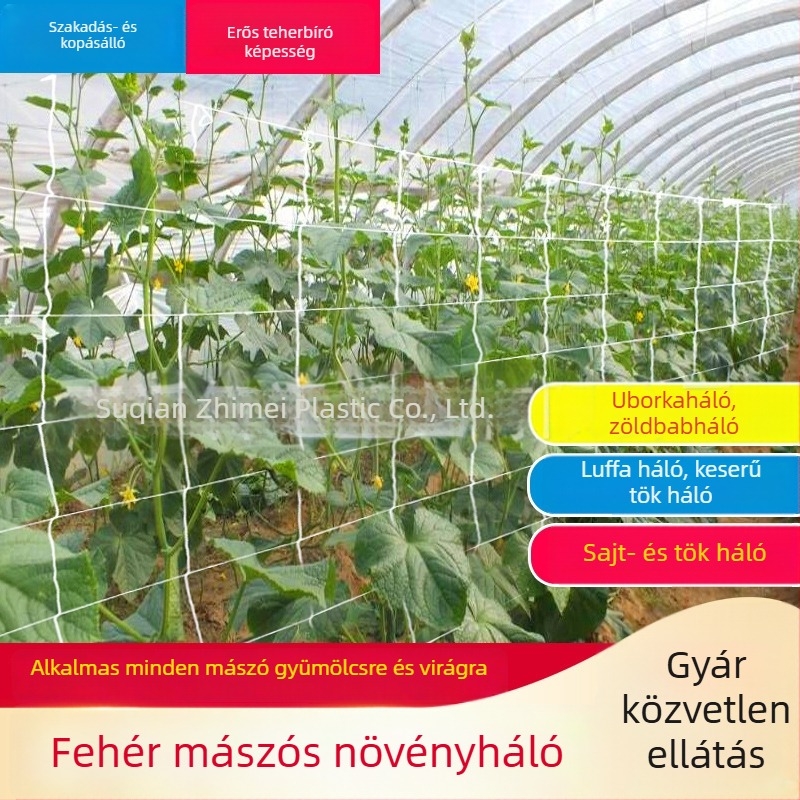 Növények kapaszkodó háló otthoni kertészethez, kötéllel — polyester