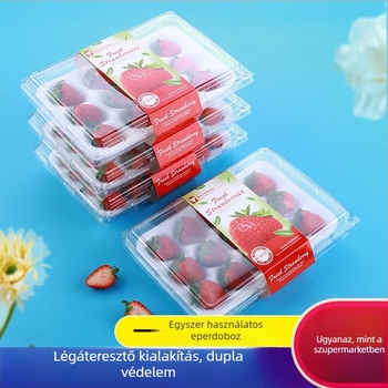 Egyszer használatos, átlátszó eperes doboz, belső támasztékkal, modell 500p, PE műanyag