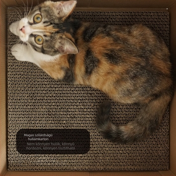 Hualun Cat Nest 08 — hullámos kartonból készült macskafészek, pihenés és meleg