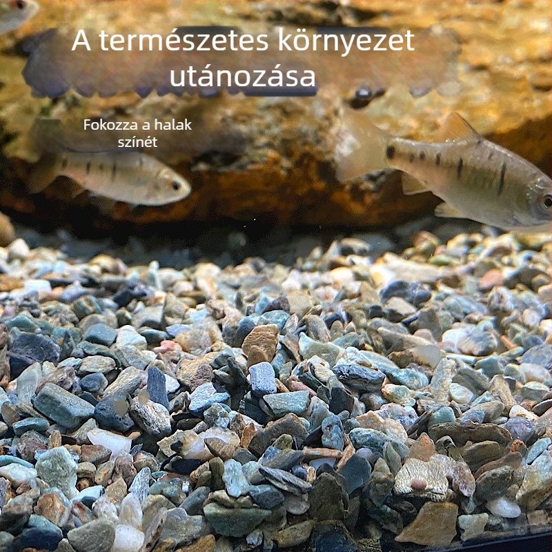Természetes akvárium aljzat díszítéshez