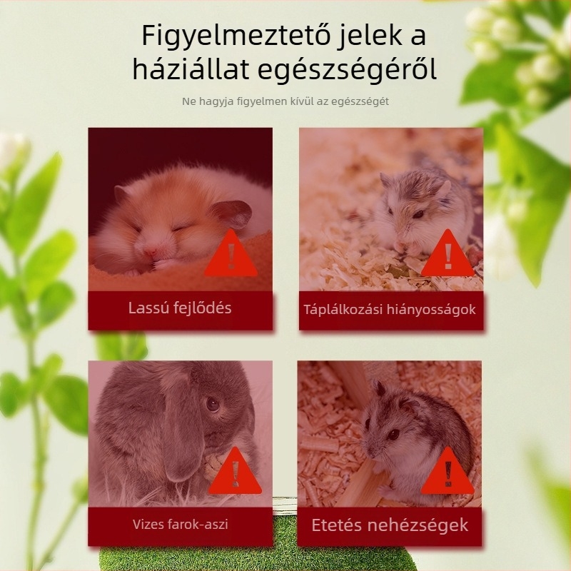 Folyékony táplálékkiegészítő hörcsögöknek - kifejezetten kis aranyhörcsögökhöz, műanyag csomagolás, Luoyang eredetű, háziállat-eledel