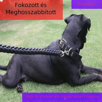 Zhenhun nylon szett kutyáknak: nyakörv, póráz és karabiner