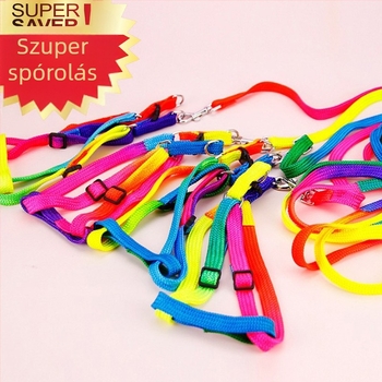 Nylon macska hám és póráz – húzóöv, csomag 100