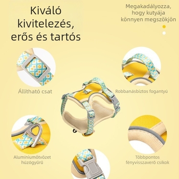 Samoyed kutya hám és póráz, közepes és nagytestű kutyáknak, H-alakú mellény nyári sétákhoz