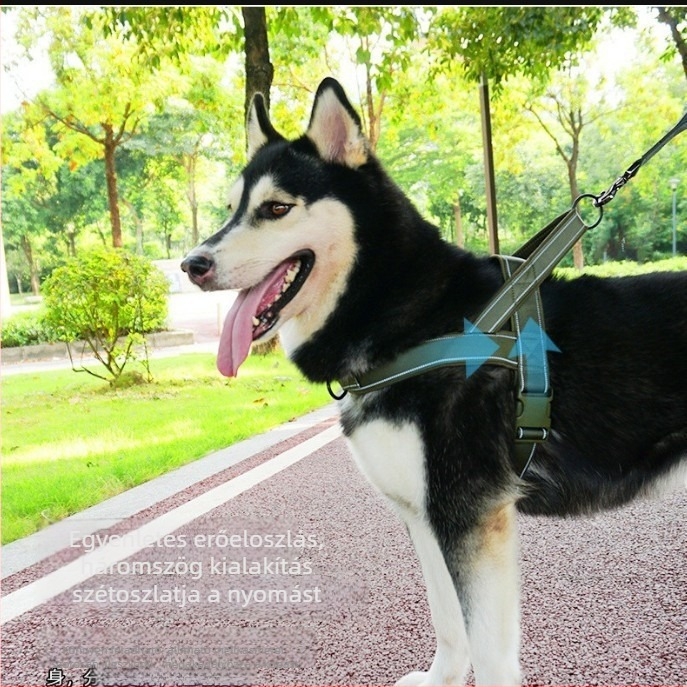Nagy testű kutyák számára hám-stílusú mellényes póráz — Malinois, Golden Retriever, Német juhász, Border Collie