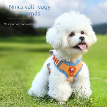 Új anti-szökéses mellény-hám kis testű kutyáknak, például Teddy és Bichon