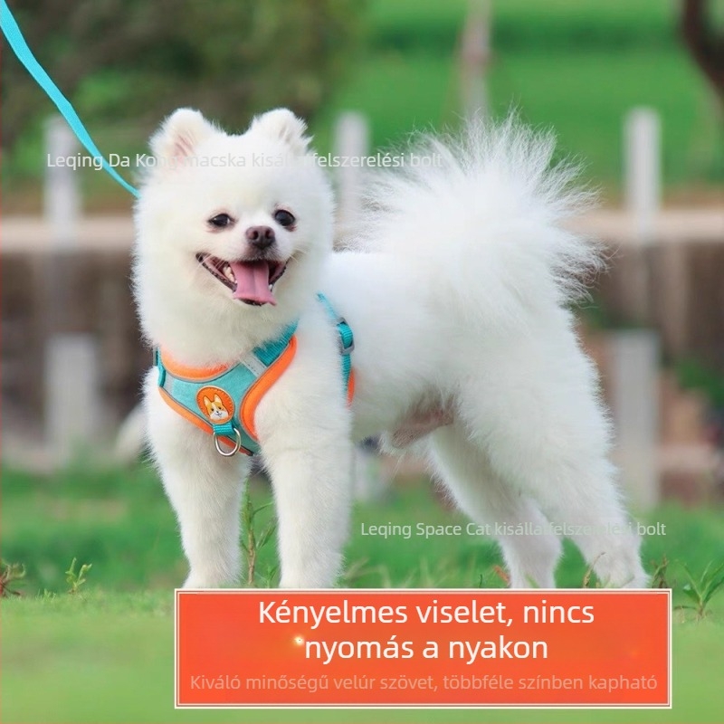 Új anti-szökéses mellény-hám kis testű kutyáknak, például Teddy és Bichon