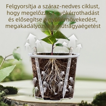 Szellőzőcső virágcseréphez – levegőztetés a talajban, gyökérrothadás megelőzése, hosszított alj és tápanyagellátó cső