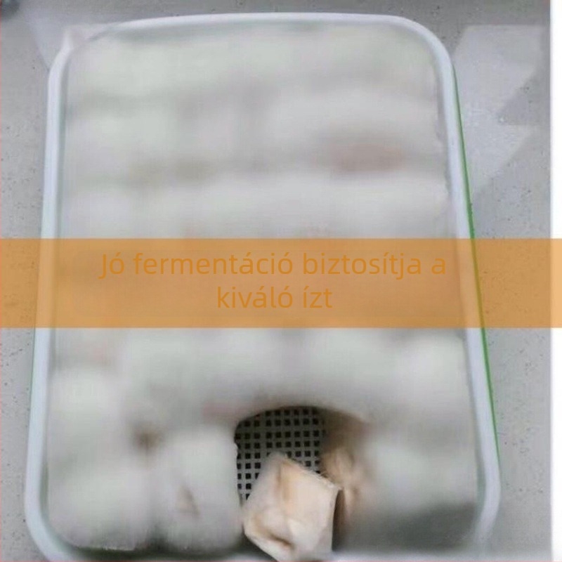 Műanyag fermentációs tál tofuhoz fedővel – otthoni használatra, kapacitás 300 ml alatt