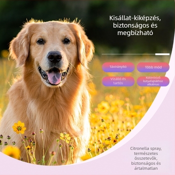 DEMU Vízálló, újratölthető távirányítós kutyaoktató a viselkedés edzéséhez