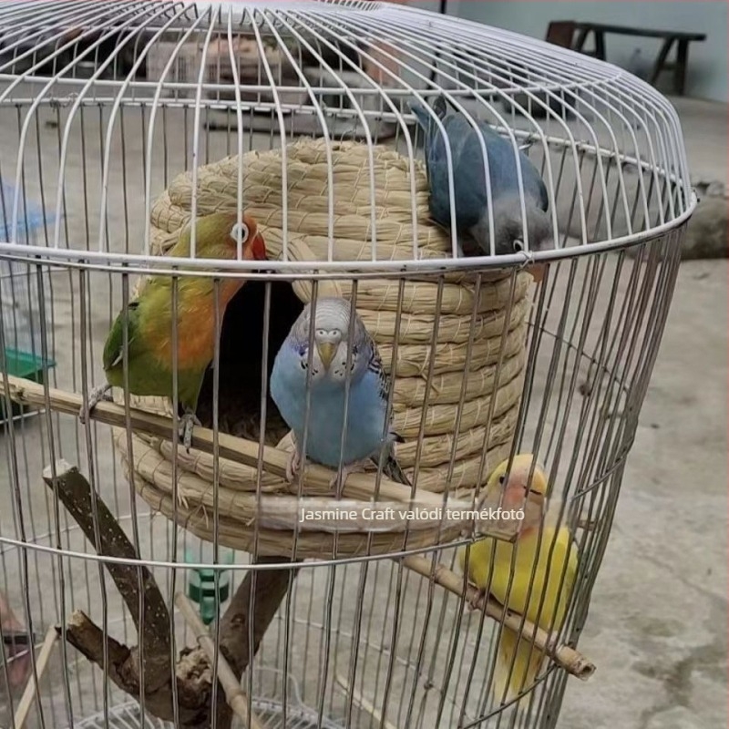 Hörcsög fűfészek, kör alakú, beltéri vízálló alvóház, rajzfilmszerű stílus