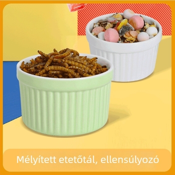 Bay Nest etető tál élelmiszer-minőségű PP anyagból, kisállatok számára