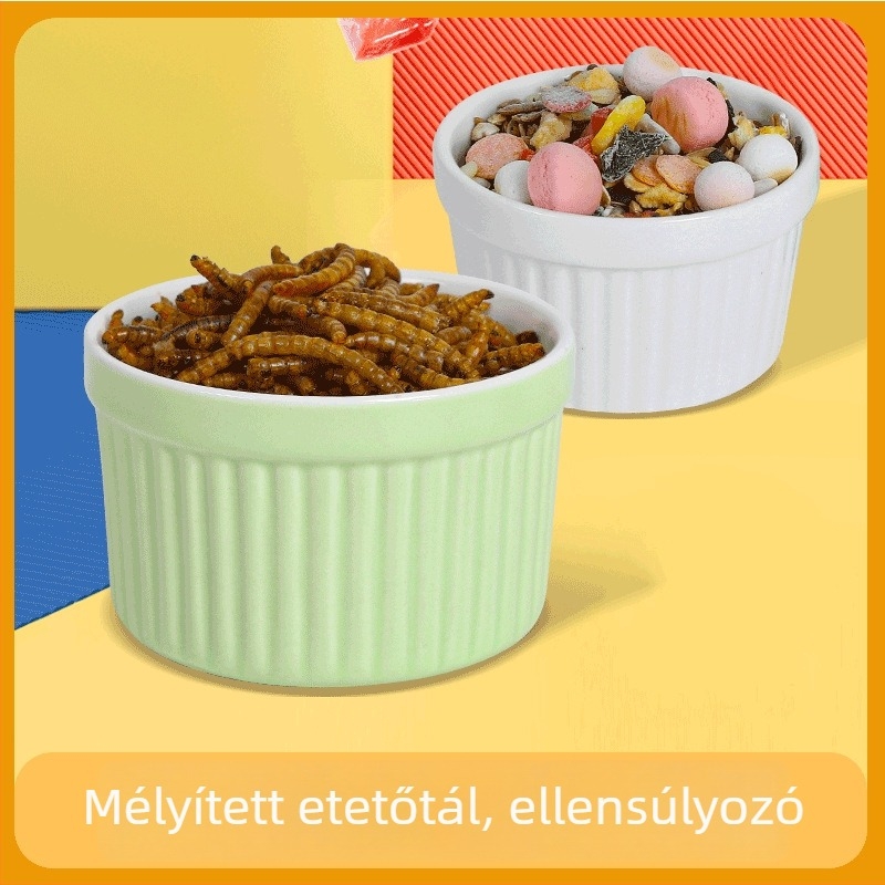 Bay Nest etető tál élelmiszer-minőségű PP anyagból, kisállatok számára