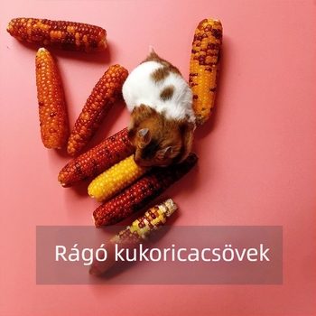 Kukoricán alapú rágcsáló snack kisállatoknak (hamster, nyúl, csincsilla)