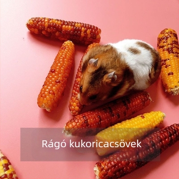 Kukoricán alapú rágcsáló snack kisállatoknak (hamster, nyúl, csincsilla)