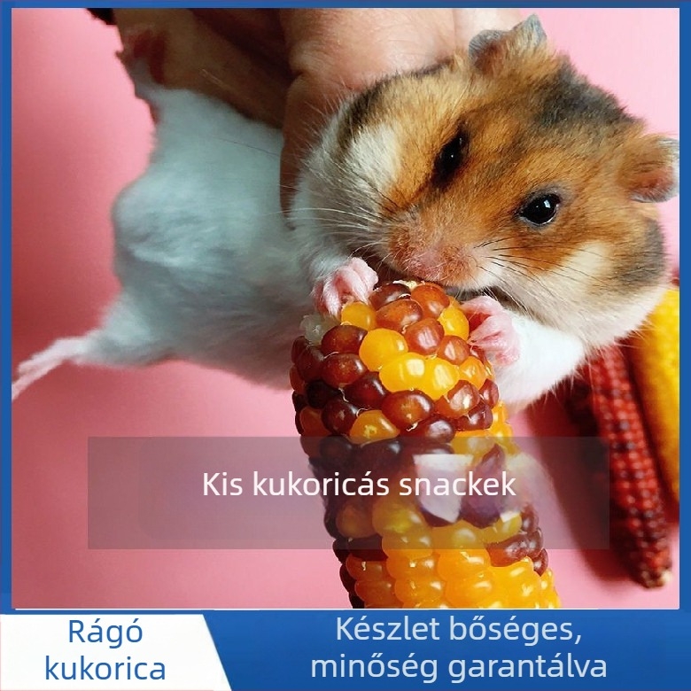 Kukoricán alapú rágcsáló snack kisállatoknak (hamster, nyúl, csincsilla)