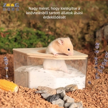 Hamster fürdőedény – kettős használat, arany hamsterek számára; injekciós öntött anyagból, Zoog márka, Shandong eredet