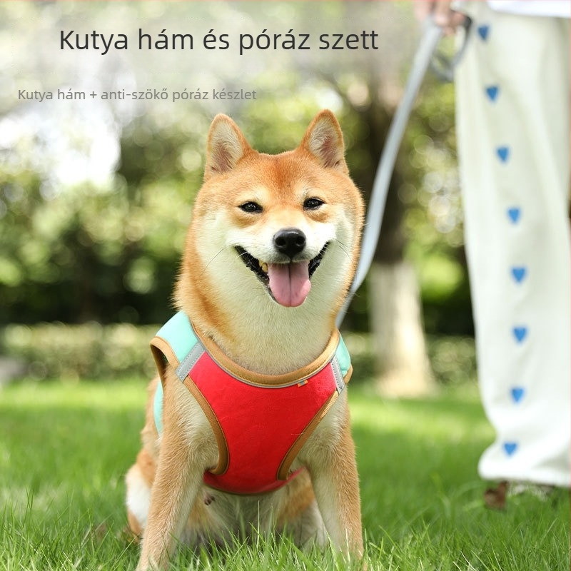 Jim Babe Macska Mellény-stílusú Hám és Póráz Készlet — Légáteresztő Pamut + Rövid Plüss, Reflektív