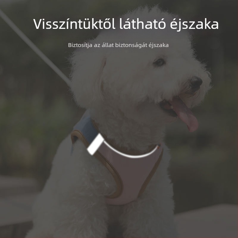 Jim Babe Macska Mellény-stílusú Hám és Póráz Készlet — Légáteresztő Pamut + Rövid Plüss, Reflektív