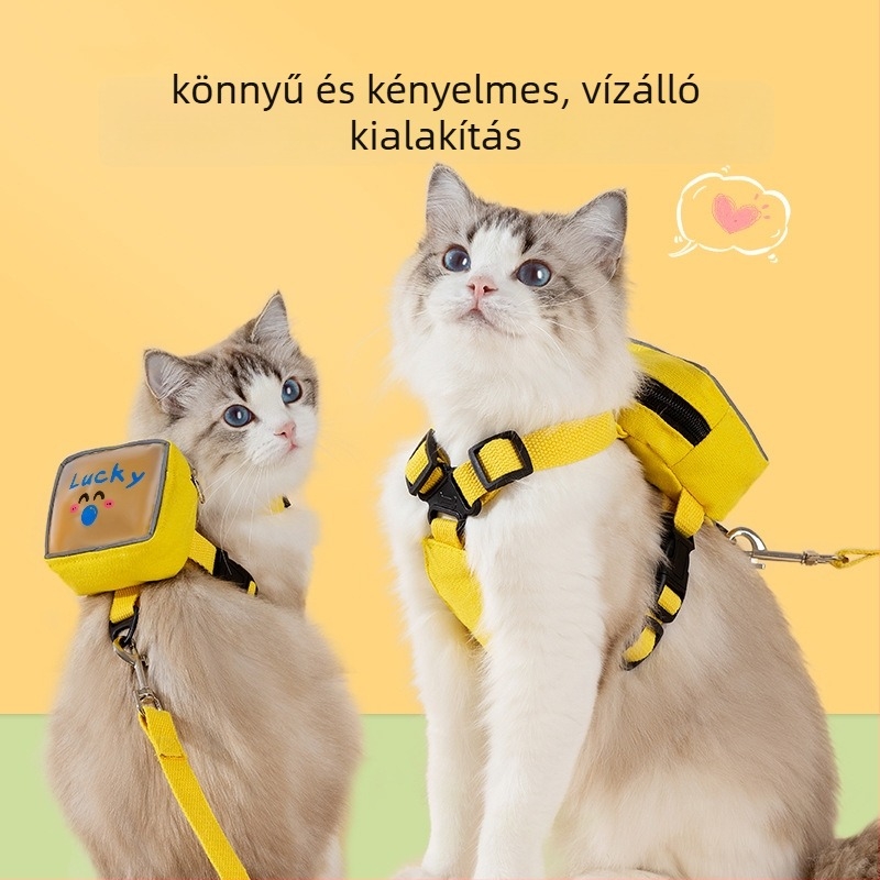 Légáteresztő, átlátszó macska-hám sétáló pórázzal