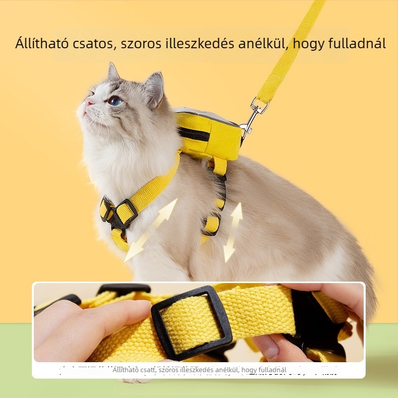 Légáteresztő, átlátszó macska-hám sétáló pórázzal