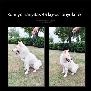 Rozsdamentes acél kutya edzőhurok póráz, sétához, professzionális edzés, erős csomó kialakítás