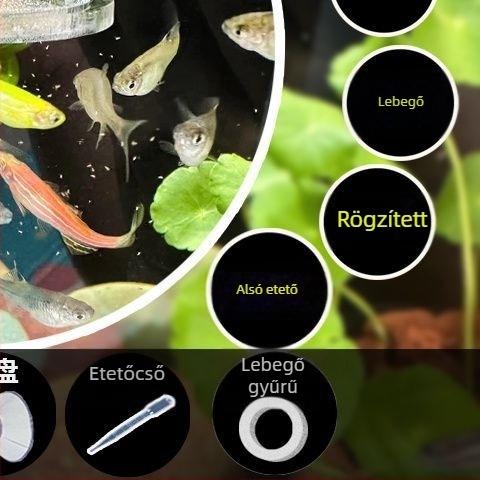 Akril etetőgyűrű akváriumhoz – Brine shrimp etetéséhez, úszó díszhalak számára, alkalmas akváriumhoz; Anyag: Egyéb; Eredet: Egyéb; Importált: Nem; Alkalmazható: Akvárium