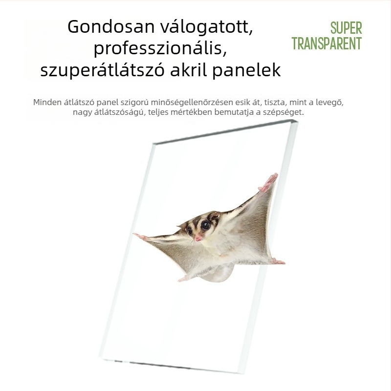 Sugar Glider és Squirrel számára készült ketrec, átlátszó akril nézőpanellel, nagy villa ketrec virágágakkal