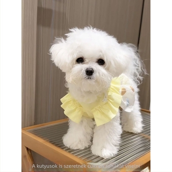 25 új kisállatruha — hercegnő-stílusú ruha Teddy, Bichon Frisé, Maltese és Pomeranian kölyökkutyáknak