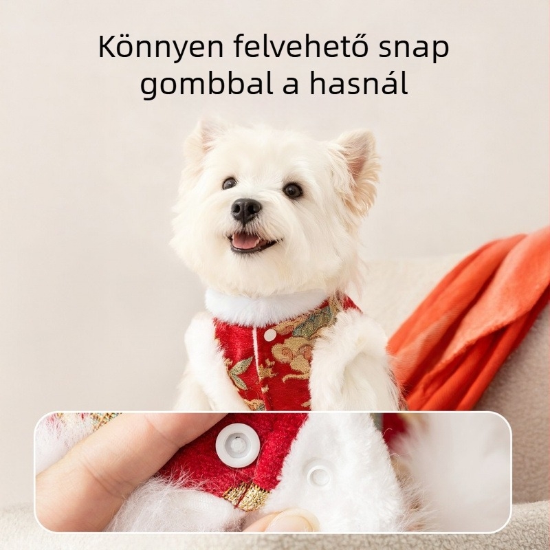 Kutya ruházat – Casual stílus – Ősz – Uniszex – Termékszám 131