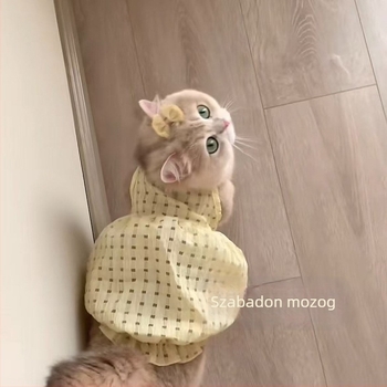 Macska nyári szoknyája pántokkal - szőrhullás elleni, fém anyagból