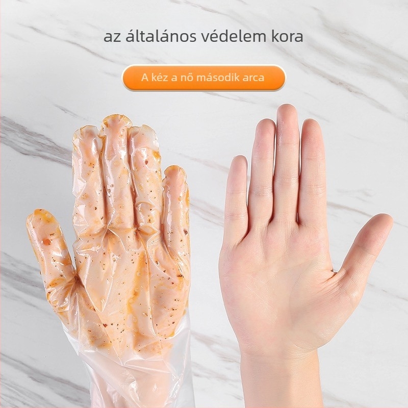 Egyszer használatos átlátszó PE kesztyűk – olajálló, 0,3 mm, erősített
