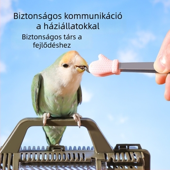Hamster etető klipe – harapás elleni interaktív játék a unalom elűzésére, 304 rozsdamentes acélból, nassolnivalók és mealworms