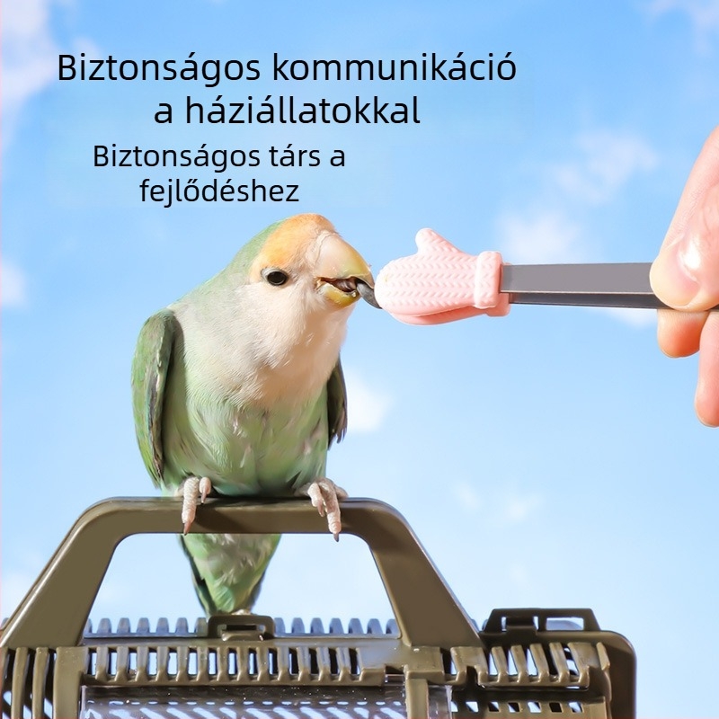 Hamster etető klipe – harapás elleni interaktív játék a unalom elűzésére, 304 rozsdamentes acélból, nassolnivalók és mealworms