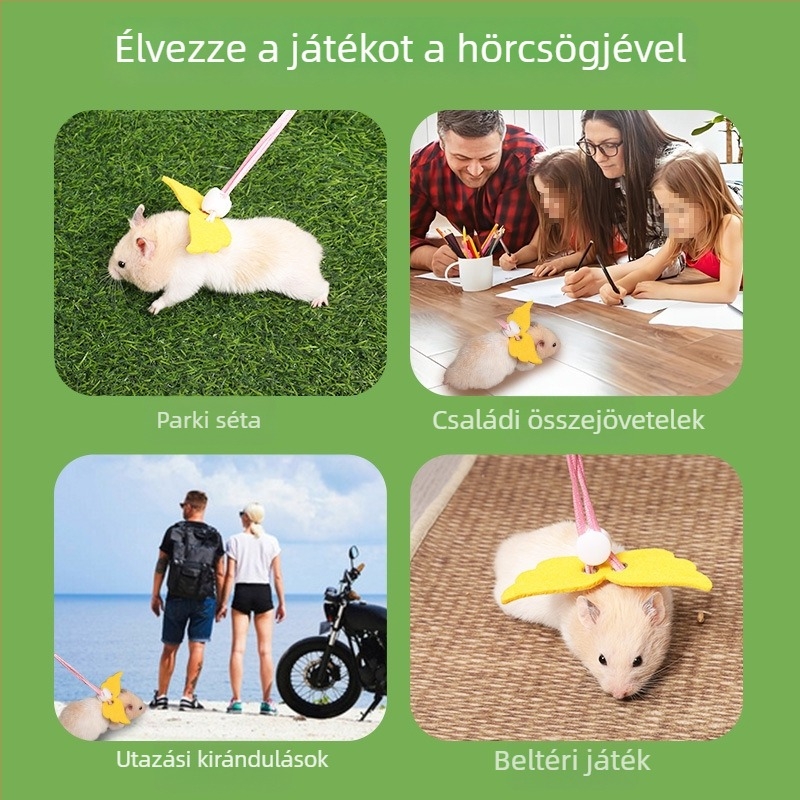 Kisméretű háziállatok számára készült mellényes hám és póráz – poliészter