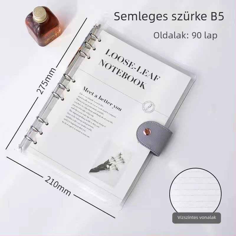 Átlátszó PVC borítású jegyzetfüzet, 6–9 lyukú rendszer, 80 oldal Dowling papír, levehető oldalak