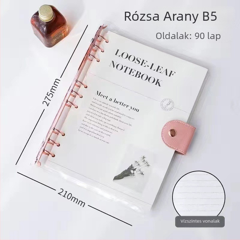 Átlátszó PVC borítású jegyzetfüzet, 6–9 lyukú rendszer, 80 oldal Dowling papír, levehető oldalak