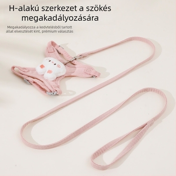 Mellény-stílusú macska hám és póráz kültéri sétákhoz, kilépés elleni kialítás