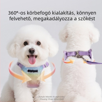 Színes gradiens hám macskáknak és kiskutyáknak