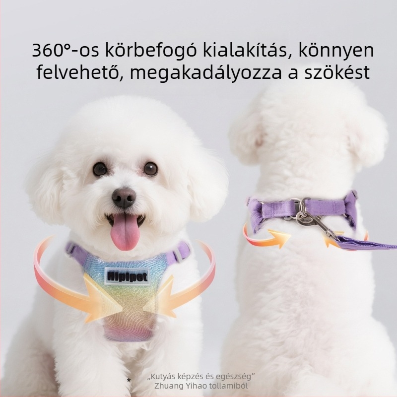 Színes gradiens hám macskáknak és kiskutyáknak